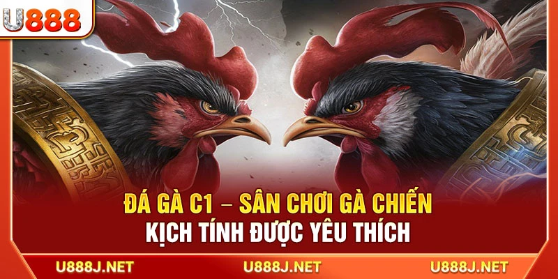 Đá Gà C1 – Sân Chơi Gà Chiến Kịch Tính Được Yêu Thích