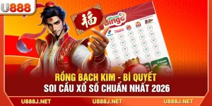 Rồng Bạch Kim - Bí Quyết Soi Cầu Xổ Số Chuẩn Nhất 2026