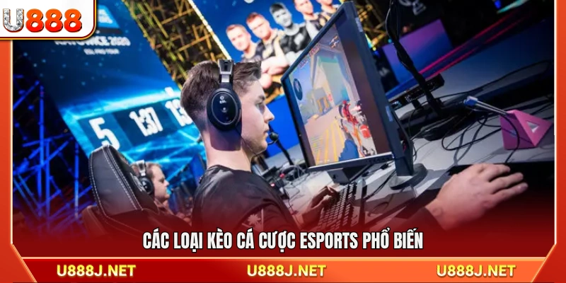 Những hình thức kèo cá cược Esports U888 được ưa chuộng