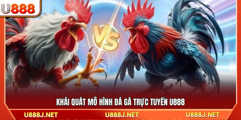 Bao quát về hình thức đá gà U888 trực tuyến 