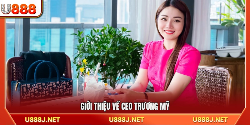 Thông tin tổng quan về CEO Trương Mỹ